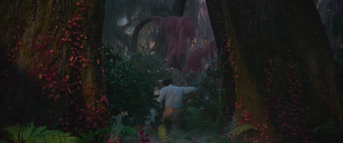 20250224.Wicked.2024.06.jpg
