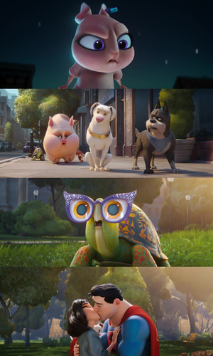 InCollage 20250224 222522057.jpg
