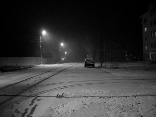 первый снег (черно-белый снимок).jpg