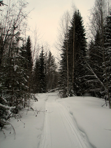 IMG 0083 1.jpg