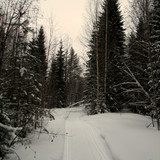 IMG 0083 1