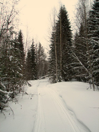 IMG 0081 1.jpg