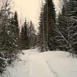 IMG 0081 1