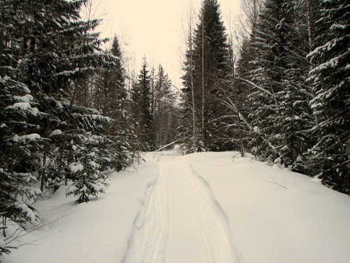 IMG 0079 1.jpg