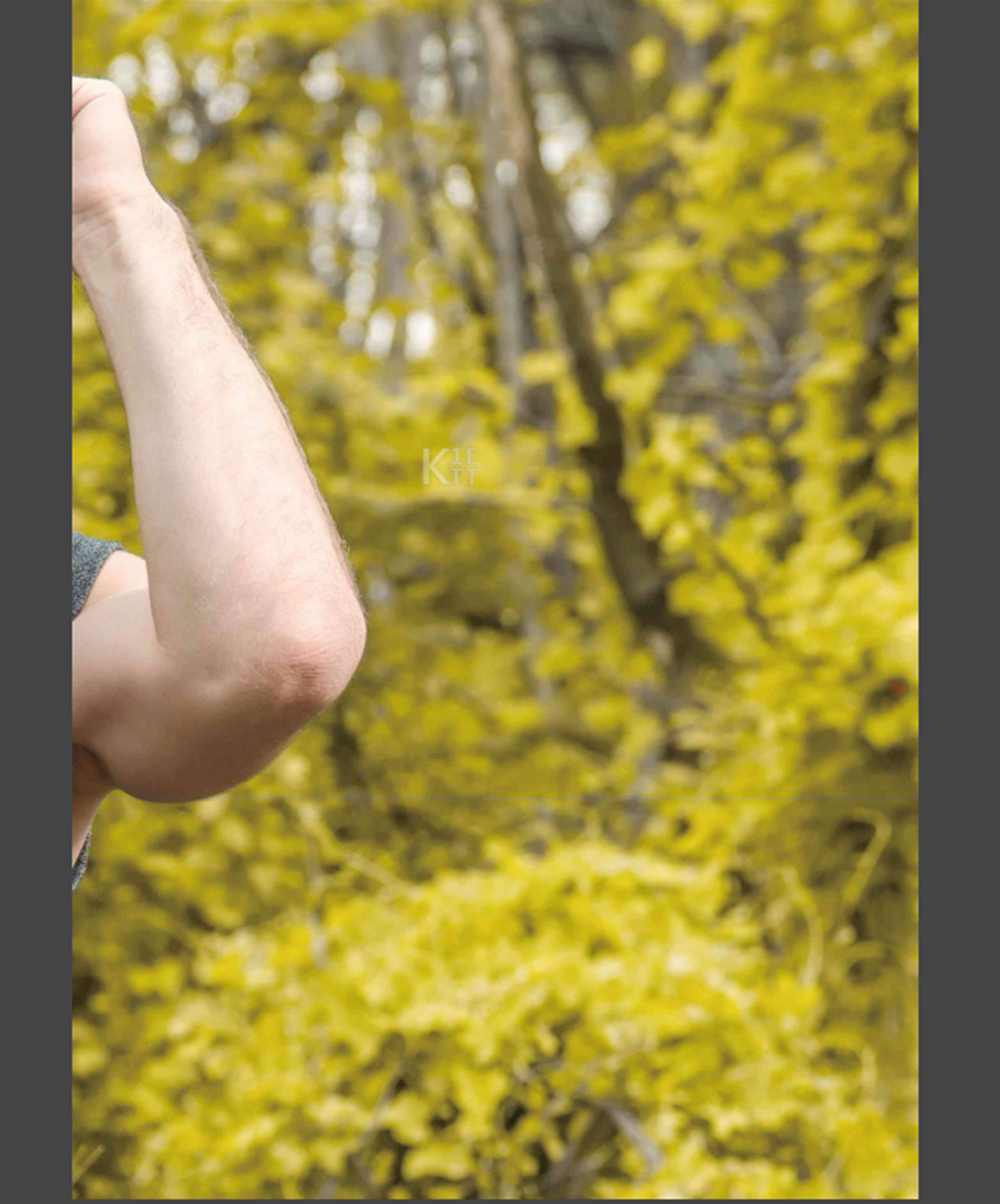 Whoseman NO.05補教型男外師 Maxime【ebook】 65