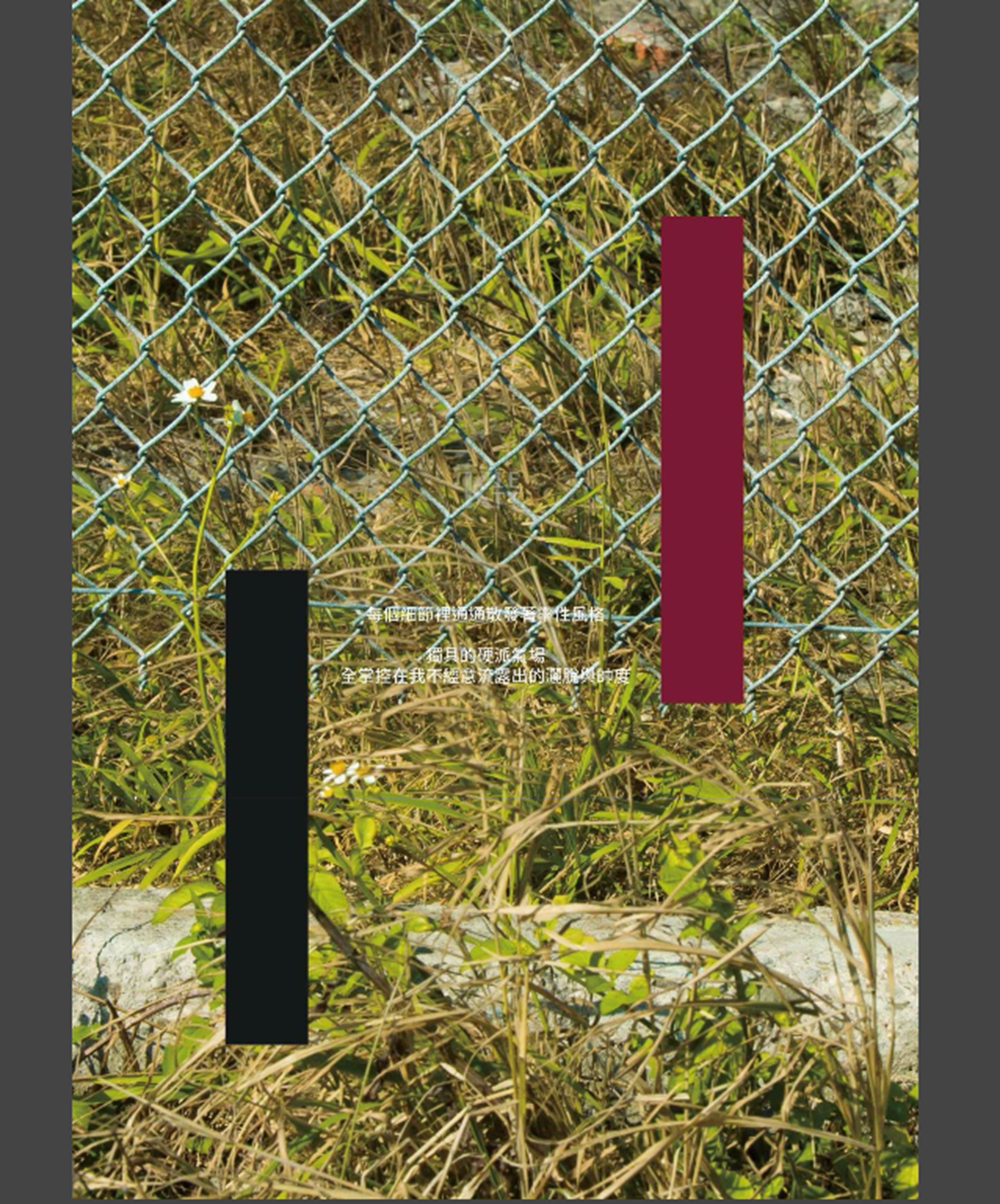 Whoseman NO.05補教型男外師 Maxime【ebook】 82