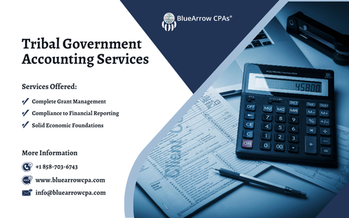 Tribal Government Accounting Services.png