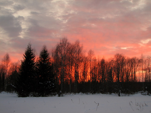 IMG 0108 1.jpg