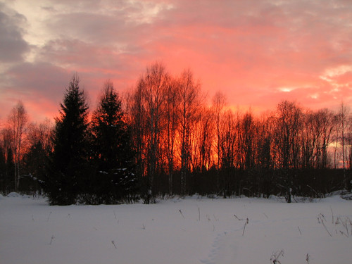 IMG 0114 1.jpg