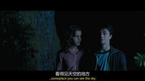 Harry Potter and the Prisoner of Azkaban 2004 BluRay 1080p VC 1 TrueHD5.1 cqkyjj2@CMCT 20250224 1954.png