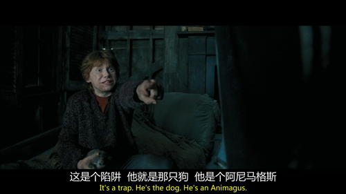 Harry Potter and the Prisoner of Azkaban 2004 BluRay 1080p VC 1 TrueHD5.1 cqkyjj2@CMCT 20250224 1954.png