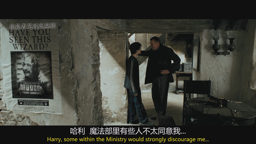 Harry Potter and the Prisoner of Azkaban 2004 BluRay 1080p VC 1 TrueHD5.1 cqkyjj2@CMCT 20250224 1932.png