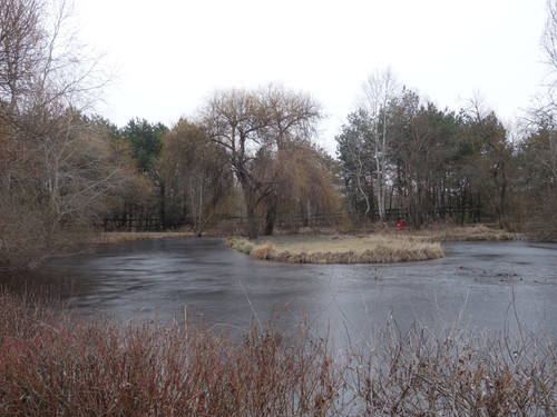 PICT 20250224 115557