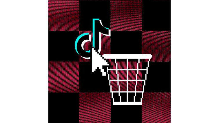 None TikTok ban: all the news on the app’s shutdown and return in the US