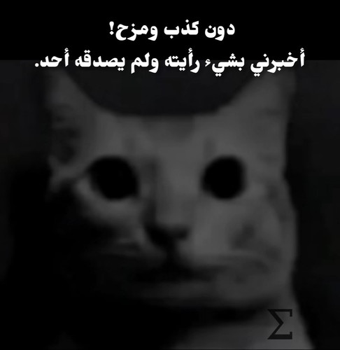 Screenshot 2025 02 22 22 32 58 09 1c337646f29875672b5a61192b9010f9