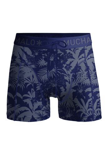 PALMTREES2034 01.jpg