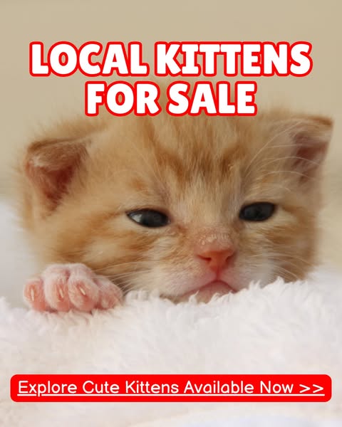 486074400 1190046292520779 3891822765004873807 n.jpg