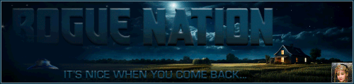 NiceBak Banner.gif