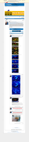 c292d85f629105bccd85fe99ee30571cb61ee63d.png