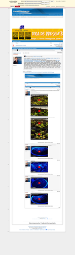 f961b6b26204a327b237f6988dc3eee3ba66fa12.png