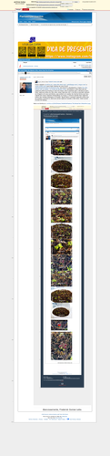 fbfcda5d740d171b368f5ea31718f214346294a4.png
