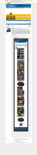 5d750071d7f332a2aaeaceeebbb2b7ecda9c3d66.png