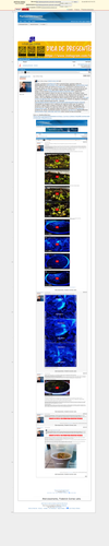 2eb3962bf396e37fb9c8d9d06abd89c67ff1b80f.png