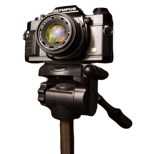 Adobe Express file (2).png