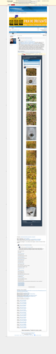 5c493043735ea69ace42ac5cd040bb29c0538f04.png