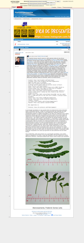 e52c401417b34af53e1514c496b74946f702678f.png