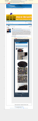 7619a4f5bcfce82fb9154e3ca97b567afa634294.png