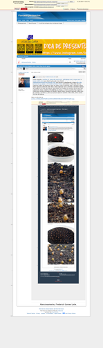 65c51fb685784ec091f4e7b1ee04a65833fa44e2.png