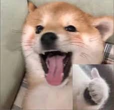 images.jpg