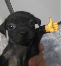 images.jpg