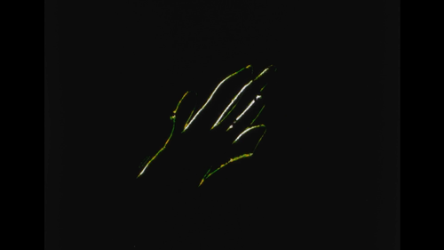 vlcsnap 2025 03 24 18h36m13s351.png
