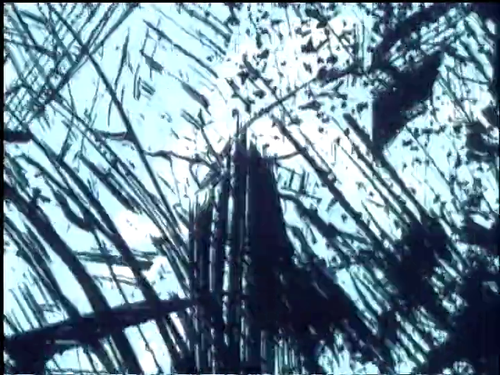 vlcsnap 2025 03 23 18h38m16s887.png