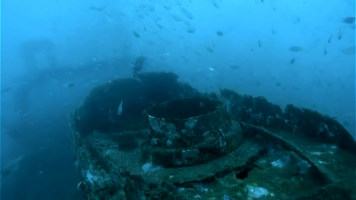 cap Survivor.South.Africa.S05E01.Pdtv.RiCH 00 00 06 01.png