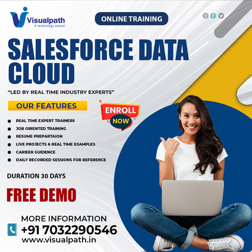 Salesforce Data Cloud Course - Salesforce Data Cloud.jpg