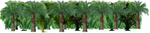 treesss.png