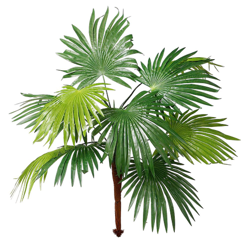 333 832 00 1 0 00.png