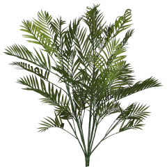 Arecapalme gruen H100cm 36 tlg. img 688417.png