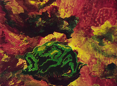 vlcsnap 2025 03 22 23h16m20s322.png