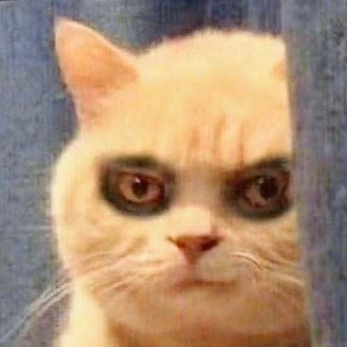 1595095703322 pZIfkO6I29AUs0MUc01ZTAVoFtVN2 500x500.jpg