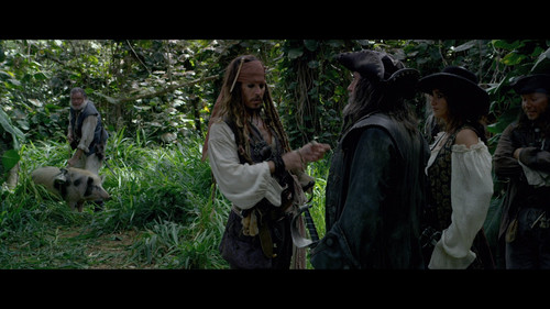 Pirates.of.the.Caribbean.On.Stranger.Tides.2011.1080p.BluRay.Hybrid.REMUX.CZ SK EN.AVC TRiToN.mkv sn.jpg