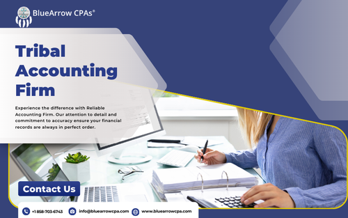 Tribal Accounting Firm .png