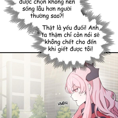 205.jpg