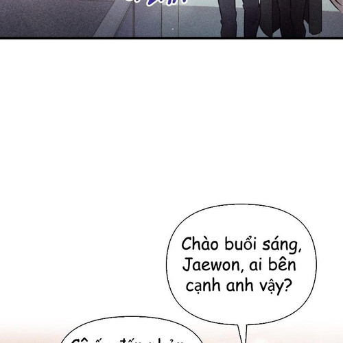 242.jpg