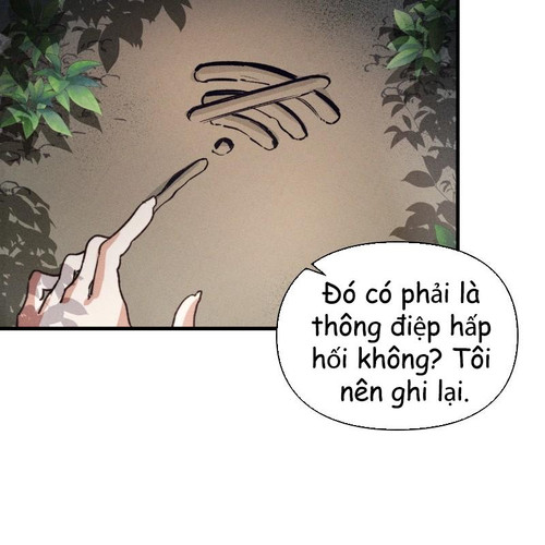 138.jpg