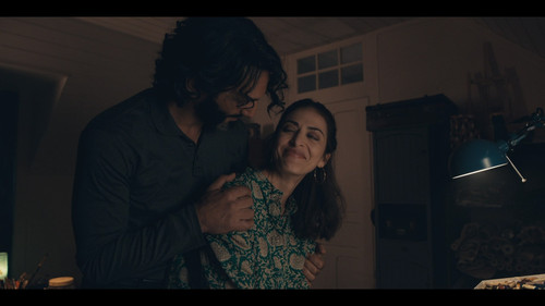 Vortex.S01E02.Episode.2.1080p.NF.WEB DL.FR.DD+5.1.x264 My.mkv snapshot 34.18 [2025.02.25 17.19.23]