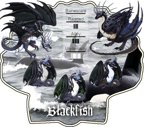 Blackfish card